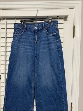 American Eagle Outfitters Wide Leg High-Rise Jeans in Blue
